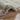 Consept Looms Heavenly Super Deep Pile HEA101 Mink Shaggy Textured Modern Rug