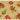 Floormatters Washable Runner and Doormat Set Anti-Slip Loop Gingerbread Cream Beige Mat in 40x60 & 50x150 cm
