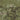 Revival Kew Antique Printed Olive Green Traditonal Tasseled Persian Flatweave Rug