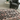 Alia 428GL Short Pile Sand Polypropylene Traditional Floral Bordered Rug