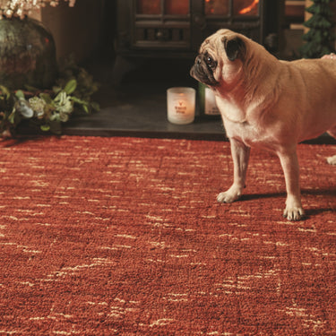 Origins Country Tweed Plain Distressed Wool Burnt Sienna Rug