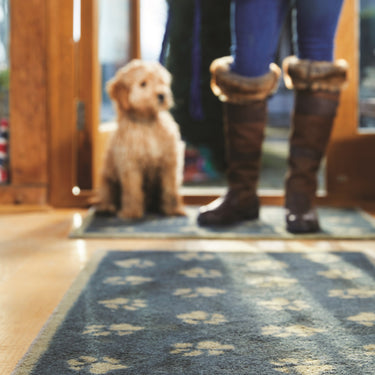 Hug Rug Floor Mat Pet Paws Door Mat Entrance Runner