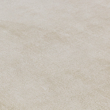 Blade Border Plain Silky Hand Woven Viscose Rug in Putty Cream with Charcoal Border