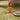 Origins My Olive Green Washable Non-Slip Polypropylene Shaggy Rug