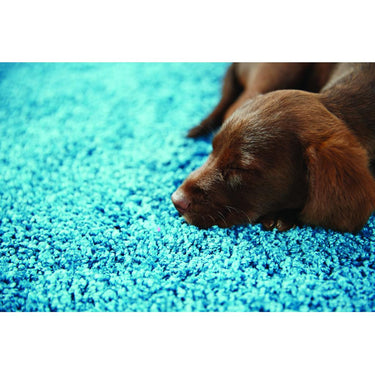 Buddy Washable Non-Slip Rug Shaggy Hall Runner Rug for Hallways Kitchen Bathroom Entrance Door Mat Living Room Bedside Bedroom Nursery Soft Plain Runner Rug