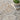 Lynx LNX02 Bordered Ivory Taupe By Polypropylene Persian Traditional Vintage Rug