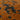 Asiatic London Wilder Splash Spice Orange Animal Inspired Cotton Textured Modern Rug