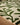 Origins Wool Hand Tufted Trailing Leaf Cream/Green Rug