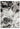 Consept Looms Blaze BLZ03 Silver Grey Bedroom Living Marble Polypropylene Abstract Modern Rug 160x230 cm