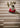 Origins Broken Stripe Tufted Beige Wool Geometric Striped Rug