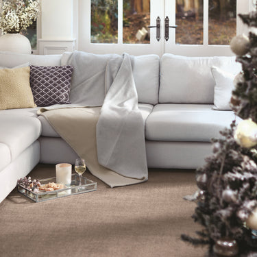 Reef Modern Plain Quality Rug in Mink