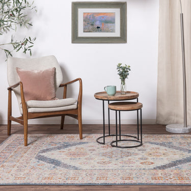 Flores Fiza FR06 Traditional Classic Bordered Persian Floral Vintage Rug in Multi