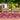 Terrace Dragonfly Outdoor Bordered Rug in Bordeaux