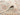 Alia 428GC Short Pile Beige Sand Polypropylene Traditional Modern Rug