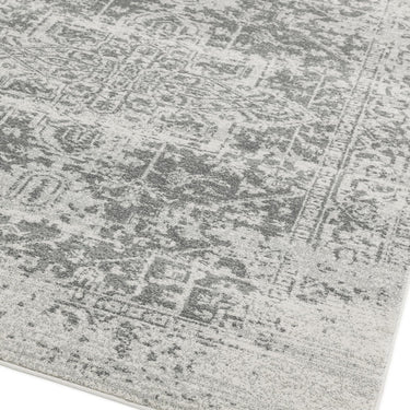 Asiatic London Nova Antique NV10 Grey Polypropylene Traditional Vintage Abstract Rug