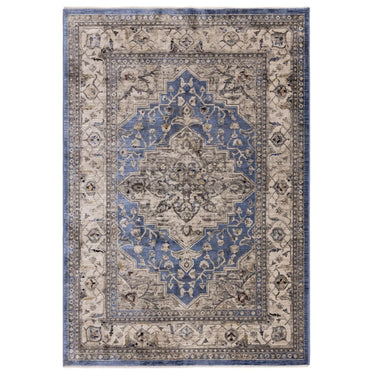 Sovereign Medallion Traditional Rug for Bedroom Living Room Flatweave Silky Shiny Rug