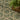 Horizon Classic Trellis HOZ01 Green By Indoor Outdoor Polypropylene Geometric Textured Rug