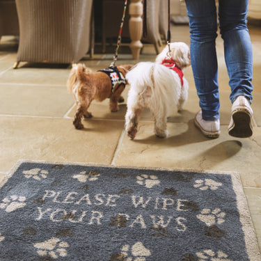 Hug Rug Floor Mat Pet Paws Door Mat Entrance Runner
