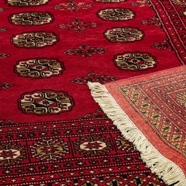 Bokhara Hand Made Rug Traditional Classic Wool Bordered Soft Red Rug