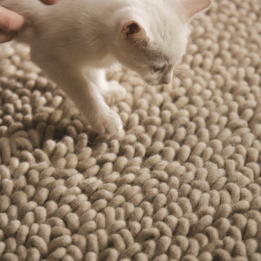 Rug Guru Union Wool Hand Woven Texture Rug in Oyster