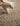 Rug Guru Union Wool Hand Woven Texture Rug in Oyster