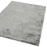 Asiatic London Whisper Silky Shiny High Pile Silver Shaggy Textured Plush Rug - Small 90x150 cm (3x5')