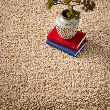 Hadley Thick Fluffy Beige By Polypropylene Shaggy Modern Rug