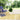 Halsey Indoor Outdoor Rug Hand Woven Geometric Flatweave Reversible Mustard Yellow Rug, Runner or Cushion - Medium 120x170 cm (4'x5'6")