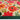 My Nylon Pattern Bright Blooms Multi Washable Non-Slip Floral Bordered Rug 50x75 cm