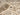 550AQ Classic Cream Light Brown Traditional Vintage Textured Bordered Hallway Runner Rug