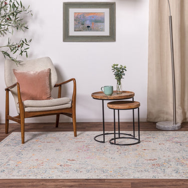 Flores Laleh FR08 Traditional Classic Bordered Persian Floral Vintage Rug in Multi