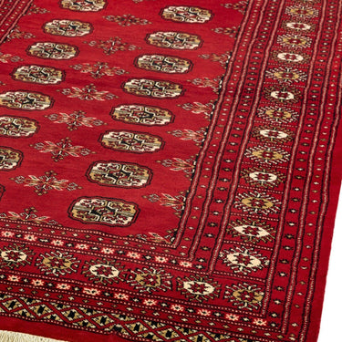 Bokhara Hand Made Rug Traditional Classic Wool Bordered Soft Red Rug