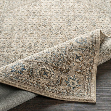 Arda Vintage Traditional Grey Rug