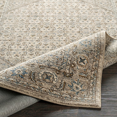 Arda Vintage Traditional Oriental Grey, Taupe & Dark Brown Rug