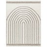 Birmingham Global Plush Soft Pile Shaggy Grey & Ivory Rug - Large Plus 160x213 cm (5'3'' x 7')
