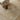 Penny Becki Owens Vintage Traditional / Vintage Brown, Mustard & Tan Rug - Design BOPE2307