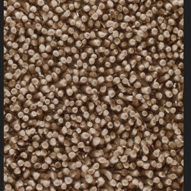 Maine Biscuit Tubular Pile Rug Hand-Woven with New Zealand & European Wools, Thick Luxurious Soft Pile, Contemporary Natural Style for Modern & Traditional Interiors