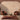 Plush Plain Shaggy High Pile Thick Silky Fluffy Soft Hand Woven Copper Rug - Medium 120x170 cm (4'x5'6")