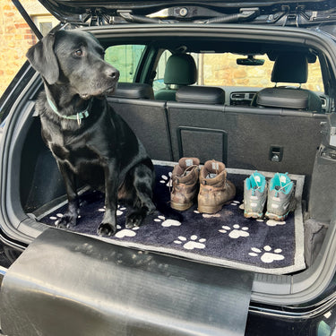 Howler and Scratch Big Paw Car Boot Protector Pets Machine Washable Checked Rug 80x100 cm