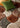Origins 3D Scallop Silky Red Terracotta Jute Shaggy Geometric Rug