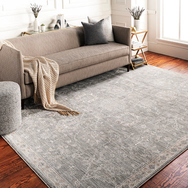 Avant Garde Vintage Traditional Grey, Charcoal & Light Beige Rug