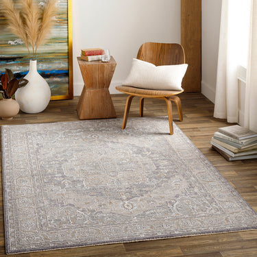 Avant Garde Vintage Traditional Grey Rug