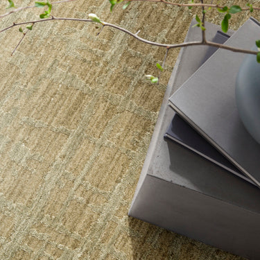 Calvin Latitude Shimmer LTD01 Green Fringe Abstract Textured Modern Rug