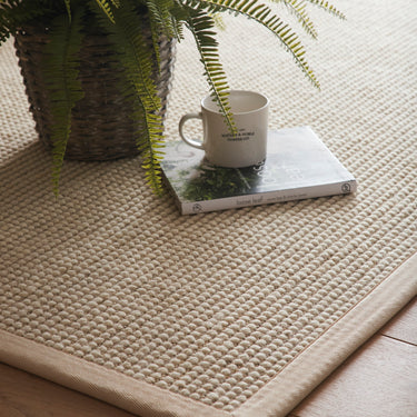 Origins Sisal Boucle Durable Classic Bordered Natural Beige Non-Slip Cotton Traditional Textured Rug
