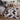 Modern Spirit Abstract Geometric Rug and Hallway Runner in Grey Black Small 80x150 cm