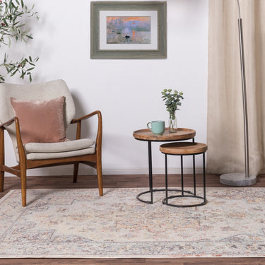 Flores Ester FR05 Traditional Classic Bordered Persian Floral Rug in Multi