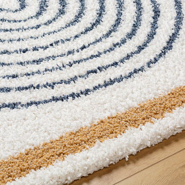 Birmingham Global Plush Soft Pile Blue Rug