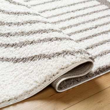 Birmingham Global Plush Soft Pile Shaggy Grey & Ivory Rug