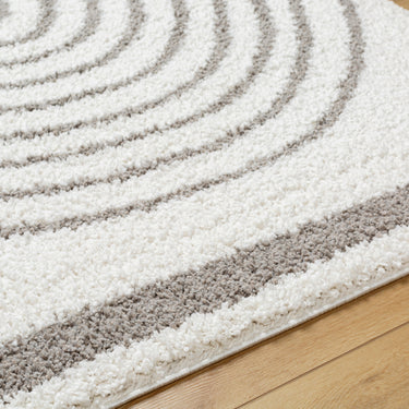 Birmingham Global Plush Soft Pile Shaggy Grey & Ivory Rug