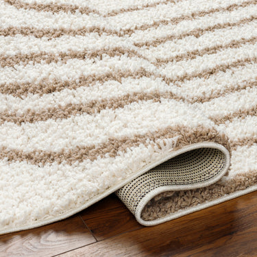Birmingham Global Plush Soft Pile Cream Rug